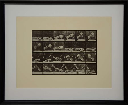 Eadweard Muybridge, Senza titolo, 1887 - 1981, fotoacquatinta su carta...
