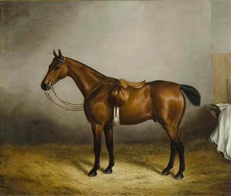 Maestro del XIX secolo "Cavallo in riposo" cm. 51x61 - olio su tela