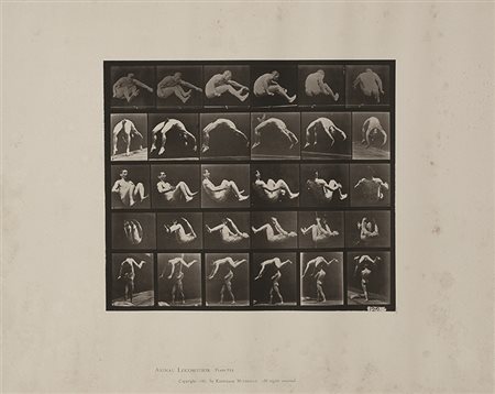 EADWEARD MUYBRIDGE (1830 - 1904) Animal Locomotion Plate n° 522 1887 Calotipo...