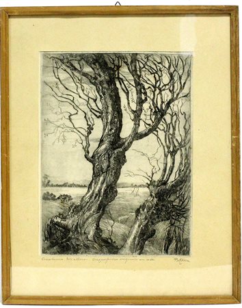 Firma indecifrata "Anatomia dell'albero" acquaforte su seta (cm 29x21 circa)...