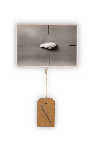 EMILIO ISGRÒ (1937)Semiseme, 1998Fotografia in box di legno e plexiglass con...