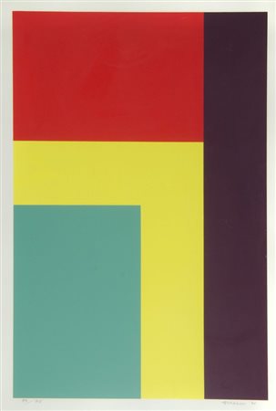 Camille Graeser 1892-1980 "Superficie a colori" cm. 70x50 - serigrafia a...