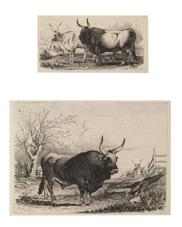 Coleman Charles A SERIES OF SUBJECTS PECULIAR TO THE CAMPAGNA OF ROME. 1850...