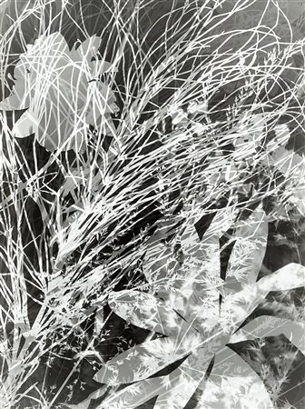Varvara Rodchenko (1925)Photogram 1988Stampa fotografica alla gelatina sali...