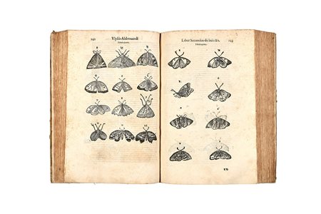 ALDROVANDI, Ulisse (1522-1605) - De animalibus insectis libri septem....