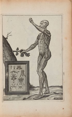 BROWNE, John (1642-1700) - Myographia nova, sive musculorum omnium. Londra:...