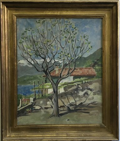 Ignoto "Paesaggio con albero" olio su tela (cm 60x50) firmato C. Monti in...