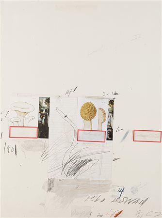 Cy Twombly (Lexington 1928 - Roma 2011)"Plate I, from: Natural History Part...