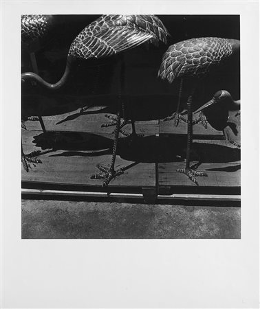 Issei Suda (1940 0)Birds 1970 ca.Stampa fotografica vintage alla gelatina...
