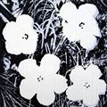 ANDY WARHOL, Flowers, 1964