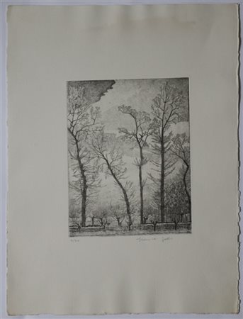 Federica Galli "Paesaggio" 1959
acquaforte
(lastra cm 25,2x18,8; foglio cm 49,5x