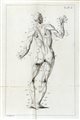 Winslow Jacques Bé nigne, Esposizione anatomica della struttura del corpo umano [...] Tomo primo (-secondo). Venezia: appresso Tommaso Bettinelli, 1747.