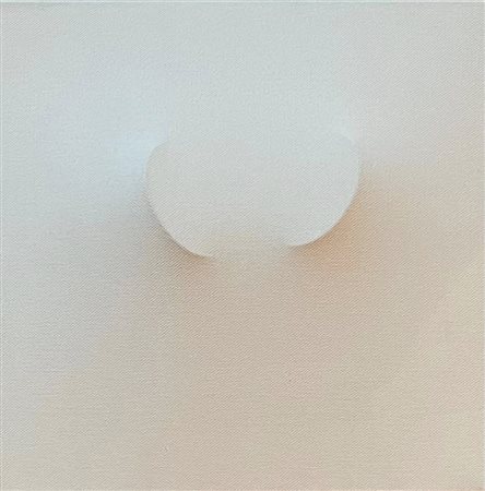 Turi Simeti “Due ovali bianchi” 2009