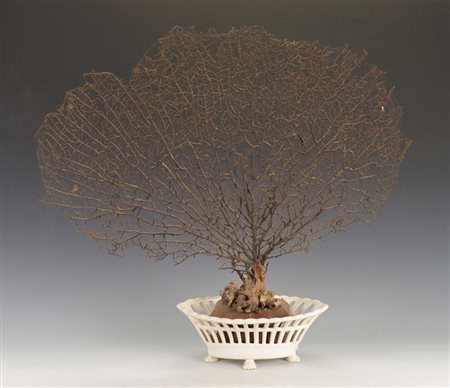 Elemento decorativo composto da un ramo entro un cestino in ceramica...