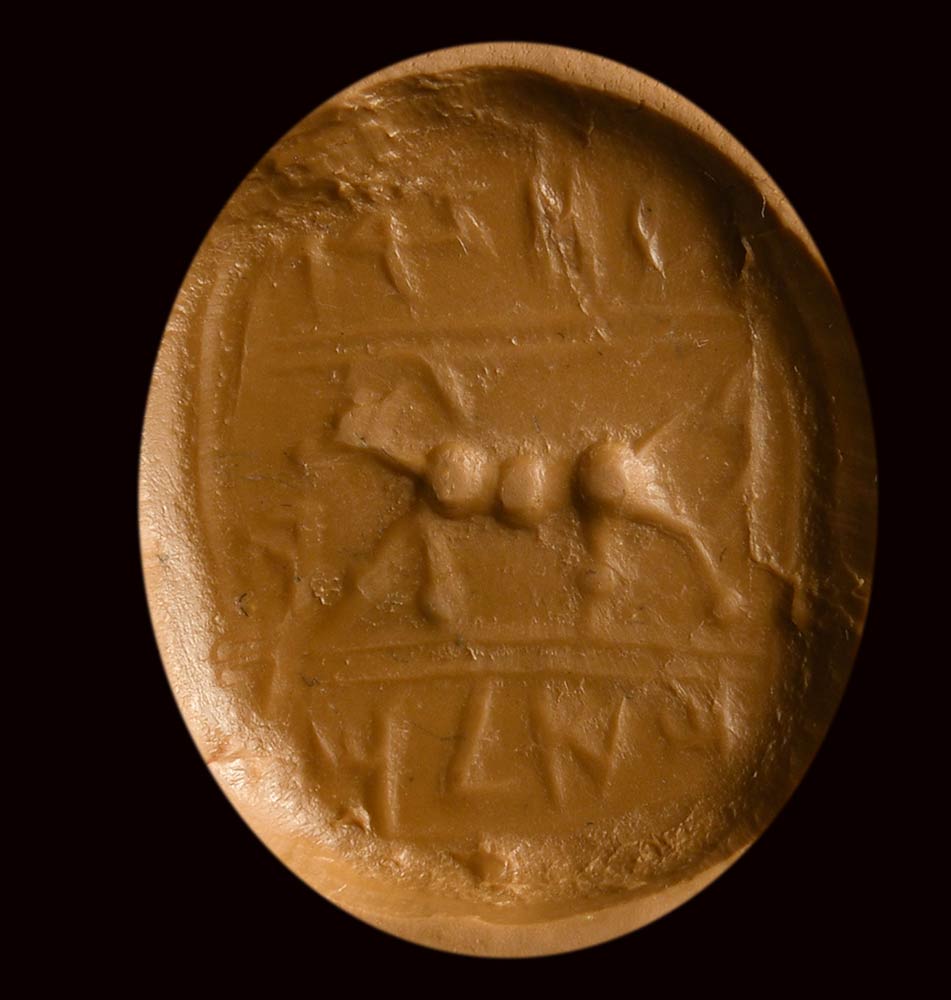 A semitic (paleohebrew) carnelian scaraboid stampseal. Deer and