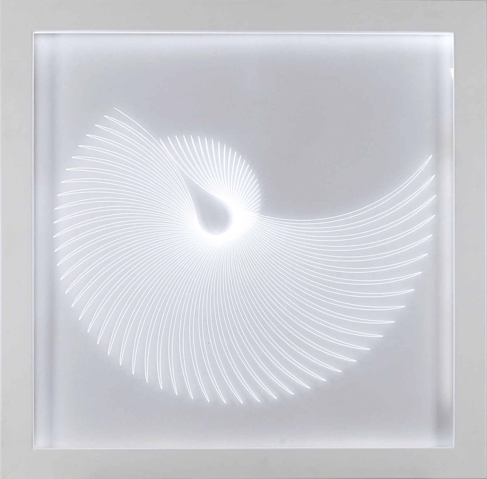 Zanuso, Zanuso Curva 5, 2018 FABIANI ARTE