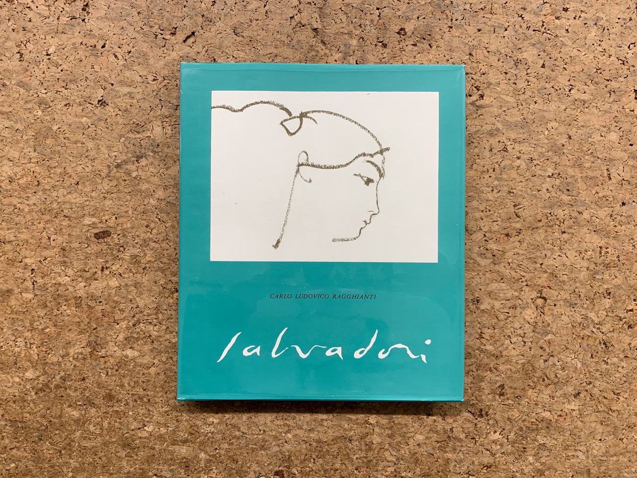 CATALOGHI AUTOGRAFATI (ALDO SALVADORI) Dipinti di Aldo Salvadori