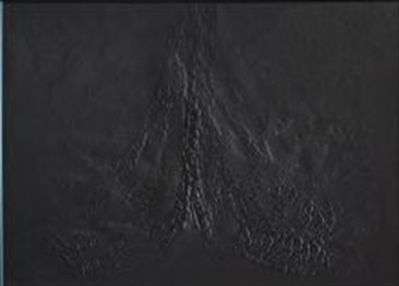 Burri Alberto Città Di Castello 1915 Nizza 1995 "Cretto nero" acquaforte e...