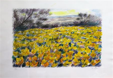 MICHELE CASCELLA (1892-1989)- 'CAMPO DI FIORI' (FLOWERS FIELD) Litografia 50...