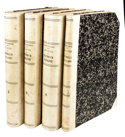 Tenore Vincenzo, Pasquale Giuseppe Antonio, Atlante di botanica popolare...