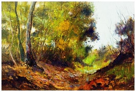 PIERO TONFONI Livorno 1944 – Livorno 2015 Bosco - La via Fattora (Livorno)...