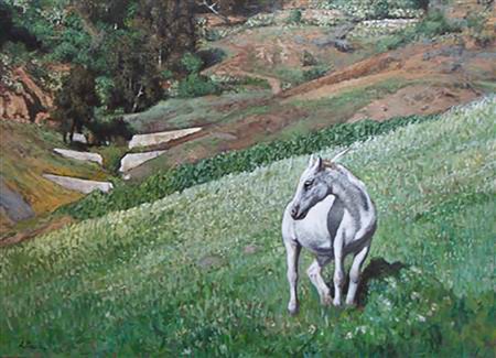 Alessandro Paternò "Il cavallo bianco" - Olio su tela - cm50x70 - Firma in...