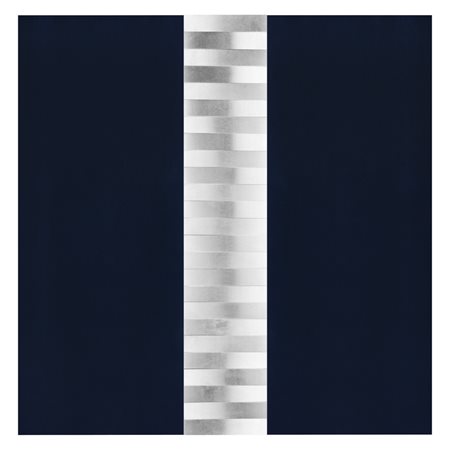 ALVIANI GETULIO Udine 1939 Superficie a testura vibratile - 1971 Alluminio su...