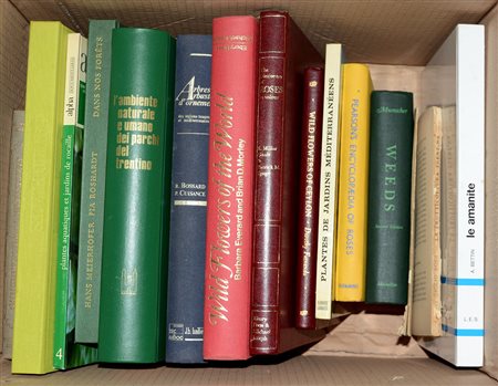 (Libri) Lotto composto da due cartoni contenenti numerosi volumi illustrati...