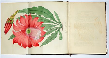 (Libri) Joseph Paxton. Magazine of botany and register of flowering plants....