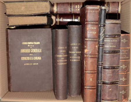 (Libri) Lotto composto da due cartoni contenenti numerose pubblicazioni di...