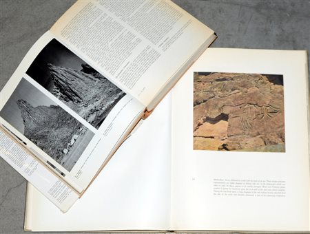 (Libri) Lotto composto da due volumi: M. Fantin. Uomini e montagne del...