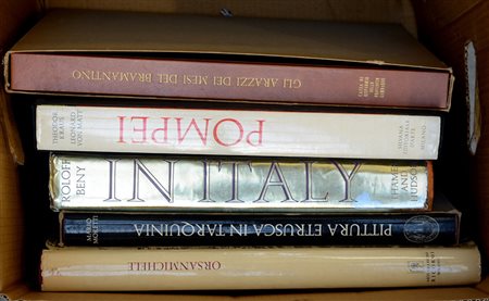 (Libri) Cartone contenente volumi inerenti l'arte in Italia