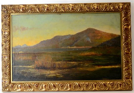Coleman "Paesaggio lacustre", olio su tela (cm 40x65) firmato in basso a...
