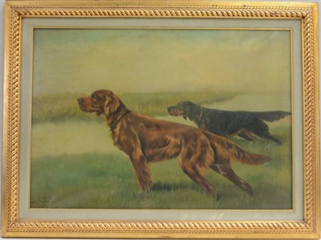 Norfini "Setter irlandesi" olio su tela (cm 61,5x89) firmato in basso a...