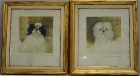 A. Vassallo "Cani" coppia di acqueforti (cm 50x42) In cornici