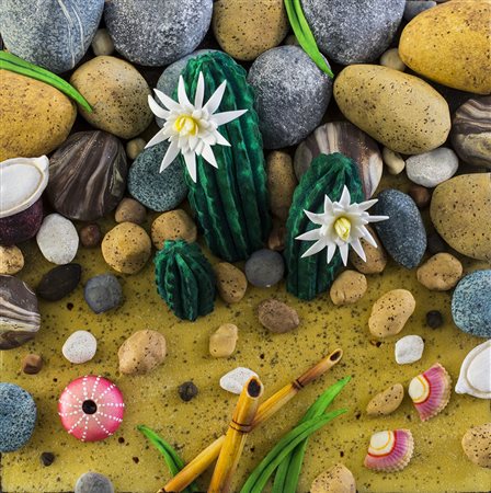 PIERO GILARDI (1942) Cactus Fiorito Poliuretano espanso entro teca di...