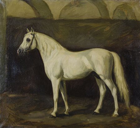 Pittore del XIX secolo "Cavallo" cm. 55x62 - olio su tela