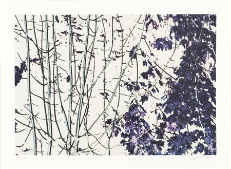 A.A.V.V. SENZA TITOLO - Coppia di Litografie, cm 35x48 l'una, Firma...