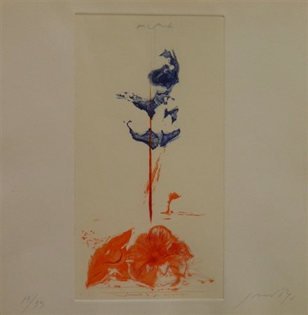 GUCCIONE PIETRO IBISCO, 1977 ACQUAFORTE ACQUATINTA cm 34,5 x 32,5 Firma in...