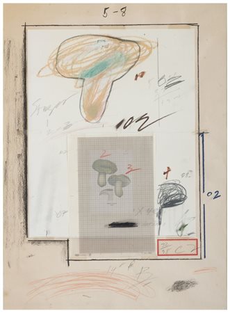CY TWOMBLY Lexington 1928 - Roma 2011 Plate III from Natural History Part I...