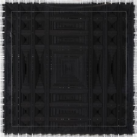 EMILIO CAVALLINI 1945 Biforcazione Nero, 2011 Tessuto Nylon su teca...