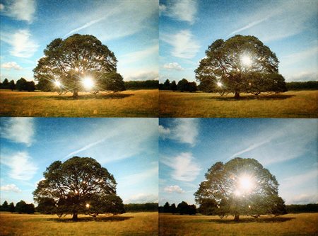 ADRIAN PACI 1969 Per Speculum, 2007 Fotografia da still, prova d’artista, cm....