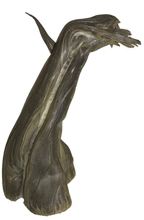 Piero Gilardi (Torino 1942) Albero, 1985, Gommapiuma, cm. 137x105x60 Sotto la...