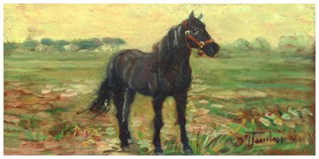 MARIO TAMBURINI Casciana Terme 1914 – Casciana Terme 1989 Morello Olio su...