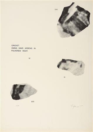 Isgro Cricket Anno 1975 Grafica 50X70 124/150