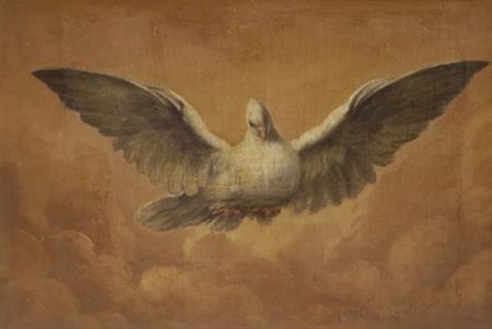 Anonimo del XVIII sec. COLOMBA Olio su tela, cm. 50x75 cornice in legno dorato.