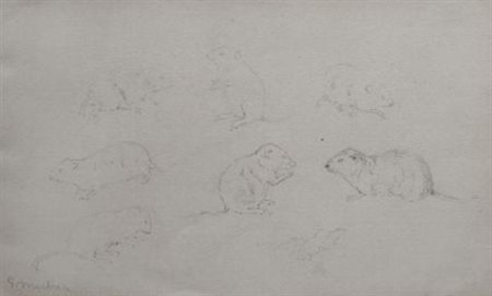 Guglielmo Micheli (Livorno, 1862 - 1926) TOPI Matita su carta, cm. 17x26...