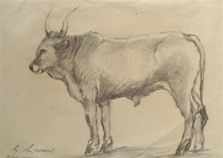 Giovanni Lomi (Livorno, 1889 - 1969) BOVE MAREMMANO Matita su carta, cm....