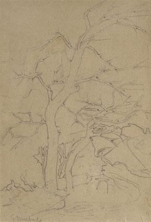 Guglielmo Micheli (Livorno, 1862 - 1926) ALBERO LUNGO IL RUSCELLO Matita su...