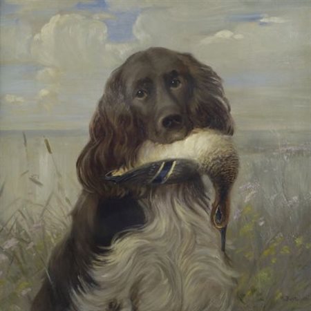 Camillo Bortoluzzi (Treviso, 1868 - Dolo, 1933) CANE Olio su compensato, cm....